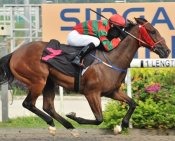 Popi Popi<br>Photo by Singapore Turf Club